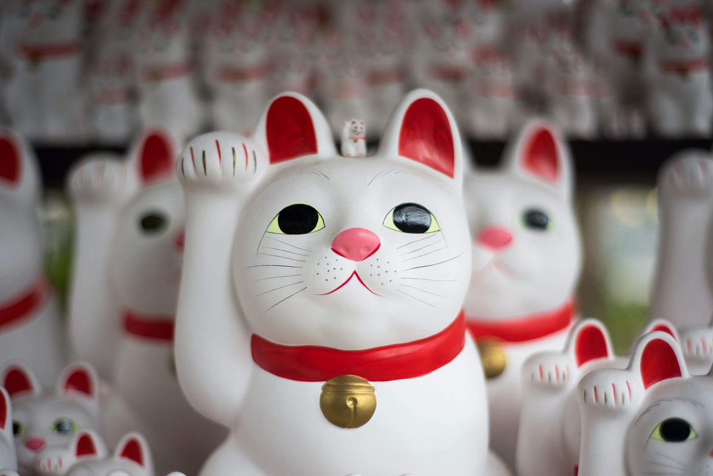 pile of Japanese lucky cat photo