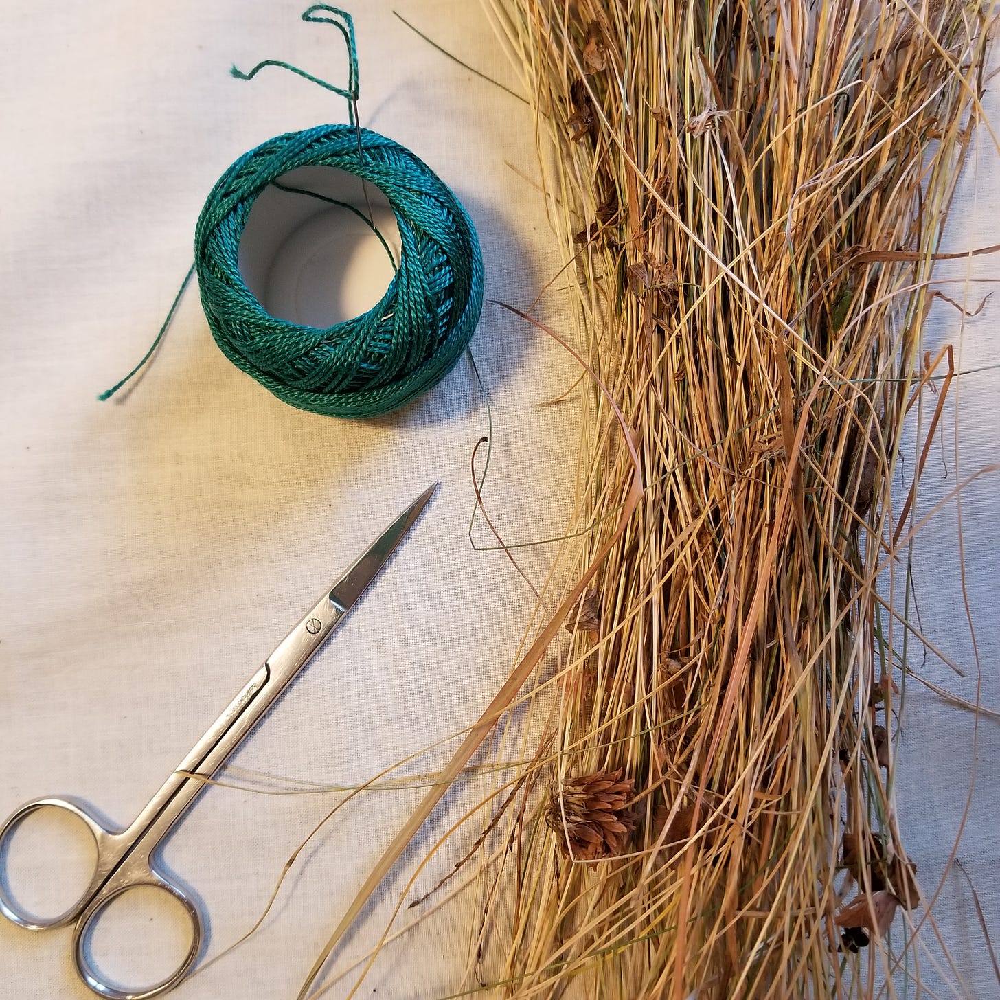bunch of dried grass on muslin fabric with a spool of green thread and scissors