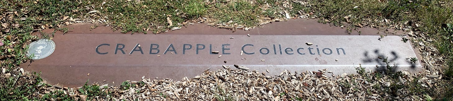 Metal plaque in the ground marking the path to the Crabapple Collection labeled "Crabapple Collection"