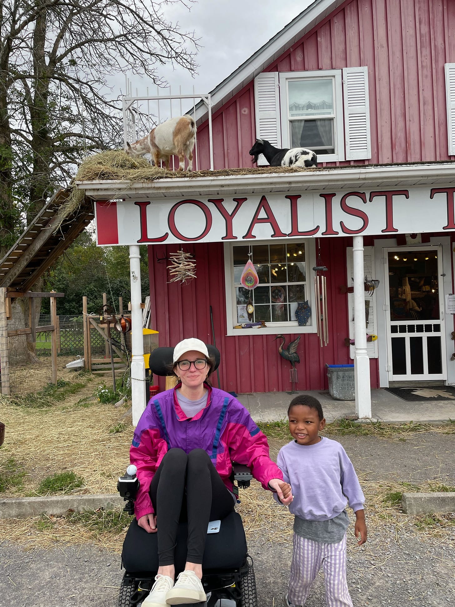 A Black child and a white woman hold hands. The white woman is in her wheelchair. Goats on on the roof of the building behind them. Both are wearing purple. 