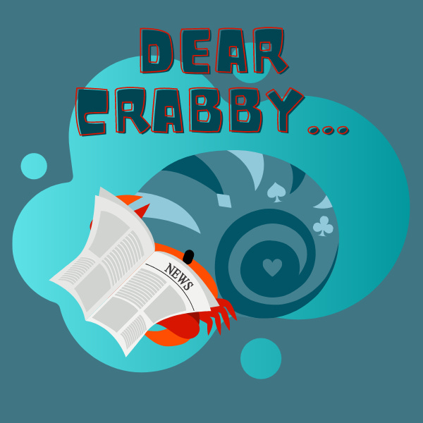 Dear Crabby Hermit Crab Essay