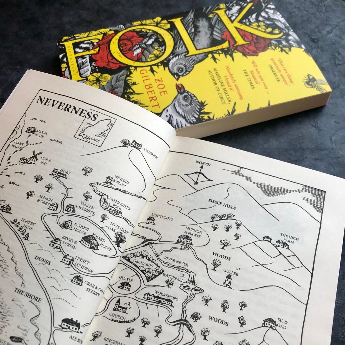 Bloomsbury Books UK on Twitter: "🗺️ Here's the map of the remote island of  Neverness from @mindandlanguage's hauntingly beautiful FOLK  https://t.co/uIkVdwZO6F" / Twitter