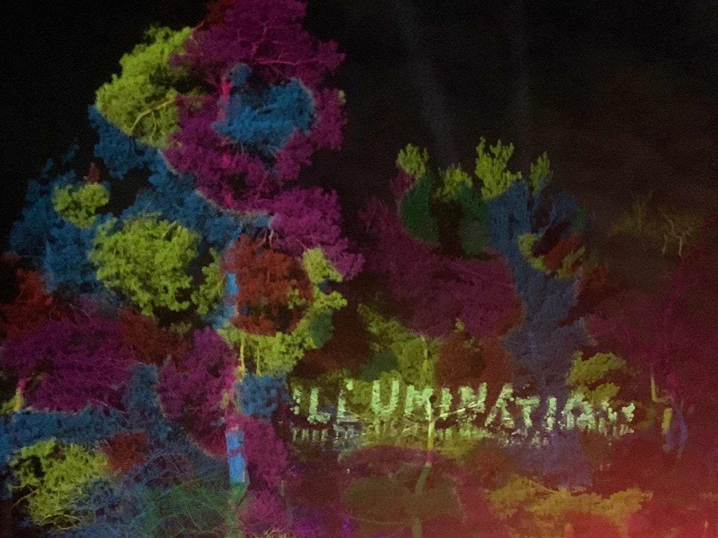 Trees with rainbow colors projected on them along with the Morton Arboretum's Illumination logo.
