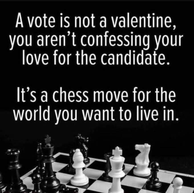 May be an image of chess, outdoors and text that says 'A vote is not a valentine, you aren't confessing your love for the candidate. It's chess move for the world you want to live in.'