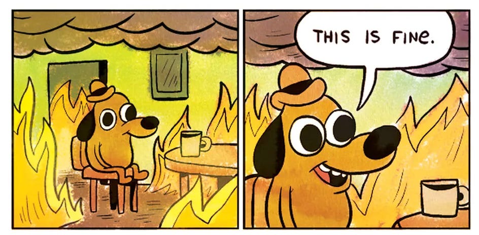 The "this is fine" meme