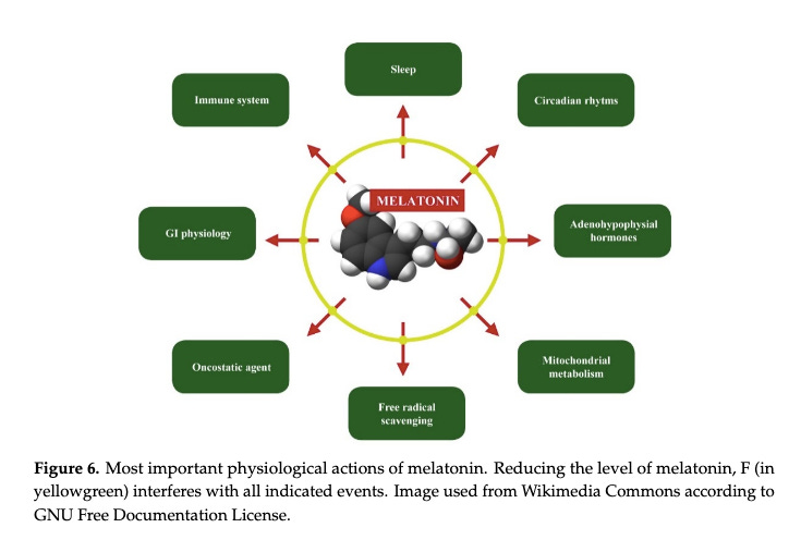 graphic showing the top 8 actions of melatonin, all of which are interfered with by Fluoride