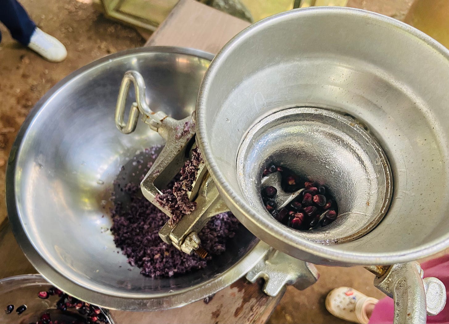 purple corn in a grinder