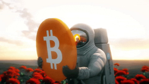 rick huckstep wiser! bitcoin spaceman