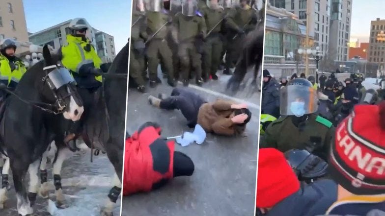 Canada Protest: Ottawa Mounted Police Charge Horses Into Crowd, Disabled  Elderly Woman Using Walker Trampled (Watch Video) | 🌎 LatestLY