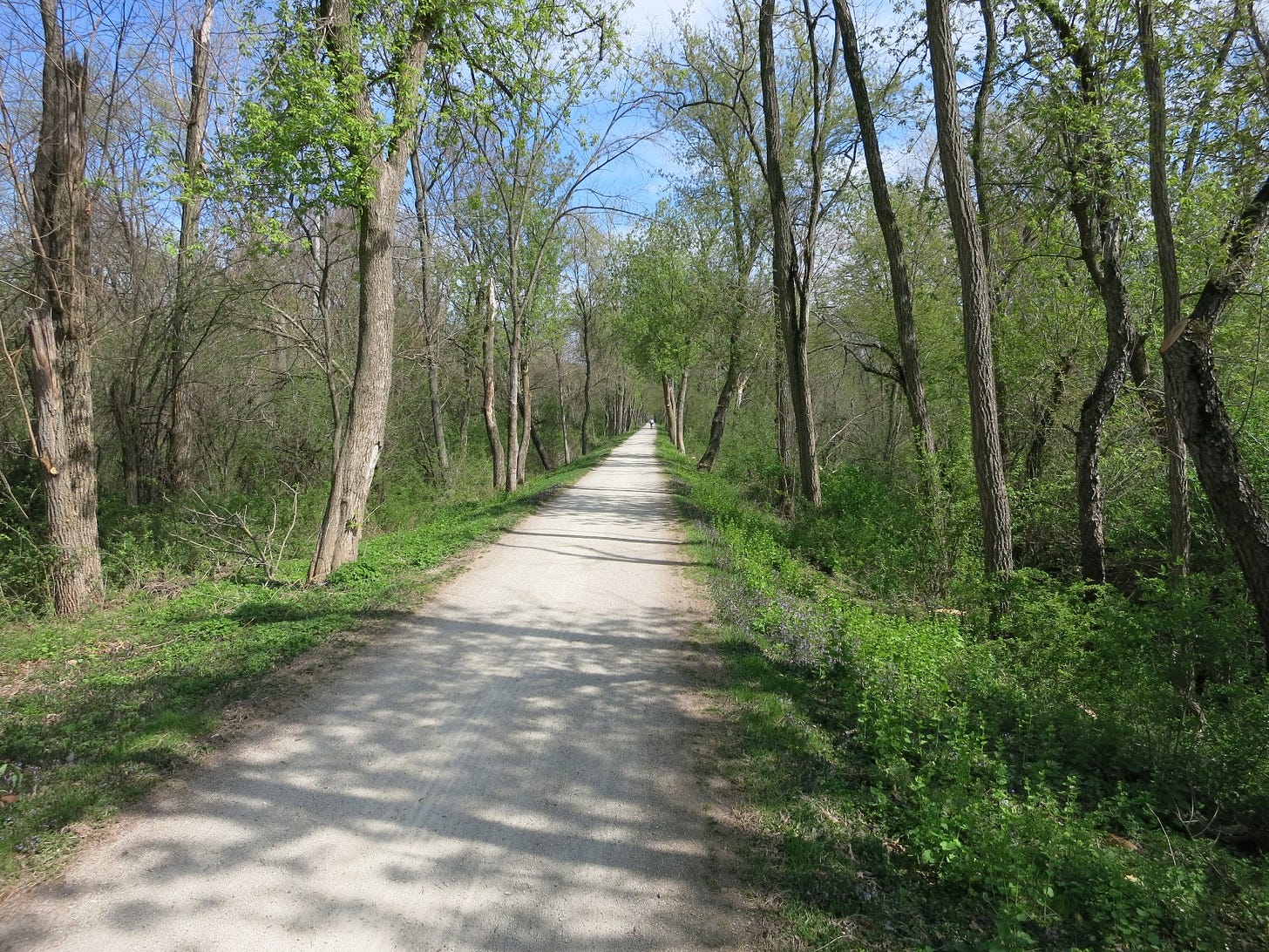 A wide dirt path runs through a green forest with many trees on both sides.
