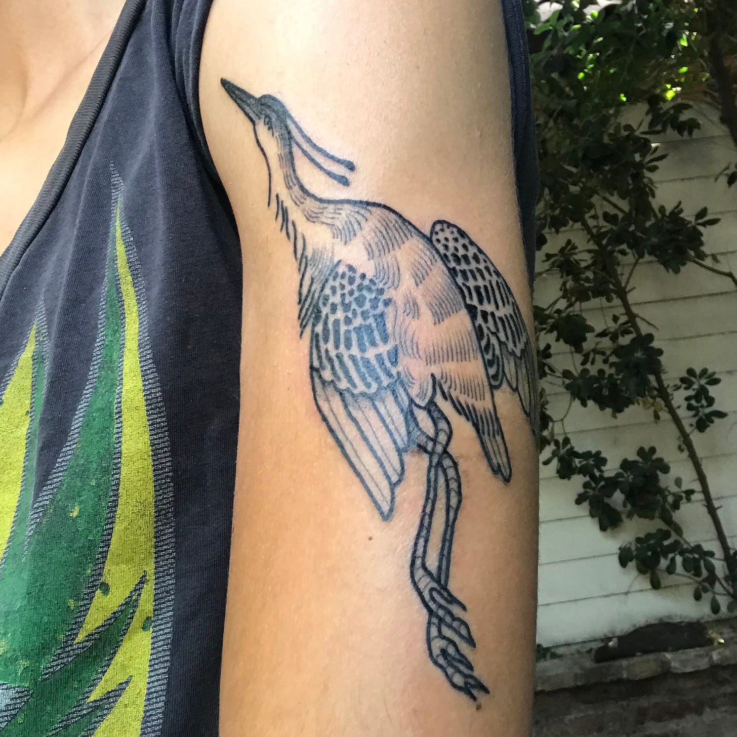 A thin-lined, black-inked heron flies up a forearm. There are delicate, feathery dashes and thick shadows, the tattoo is beautiful. To the left of the bare arm, a dark t-shirt with a colorful, flamelike design, fills the screen. The sleeve is rolled up to reveal the healing art. Behind, A white wall with some sparse bushes growing up it