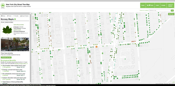 The tree highlighted above provides an Annual Benefit of ~$300 to its residents.