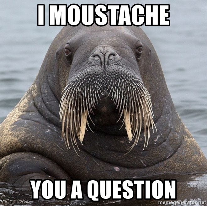 I moustache You a question - Walrus Mayo | Meme Generator
