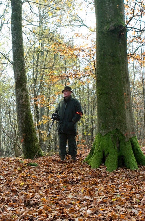 A hunter standing in the forest with a gun.