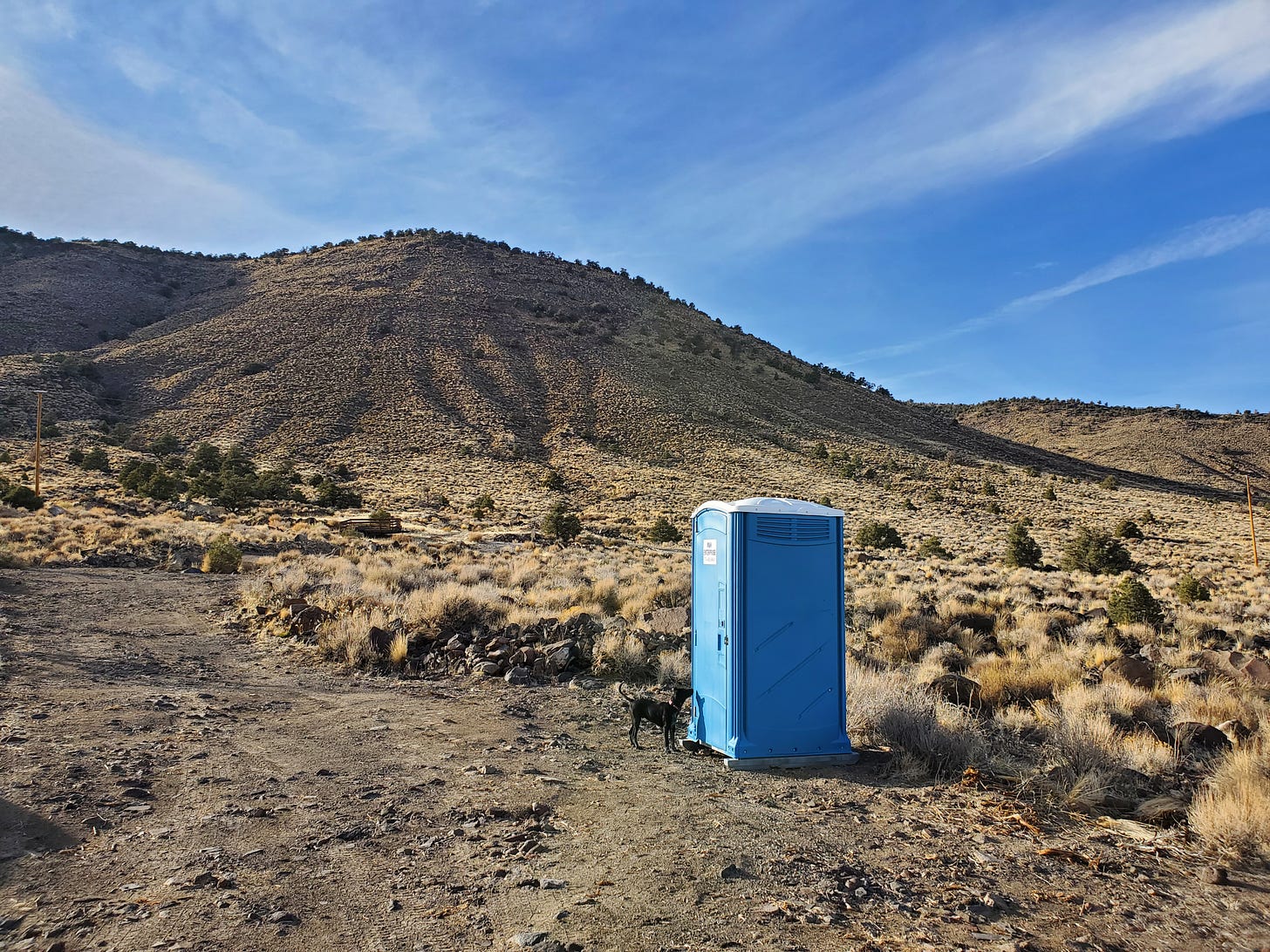 A blue porta potty on a dirt road with a black puppy right outside the door.