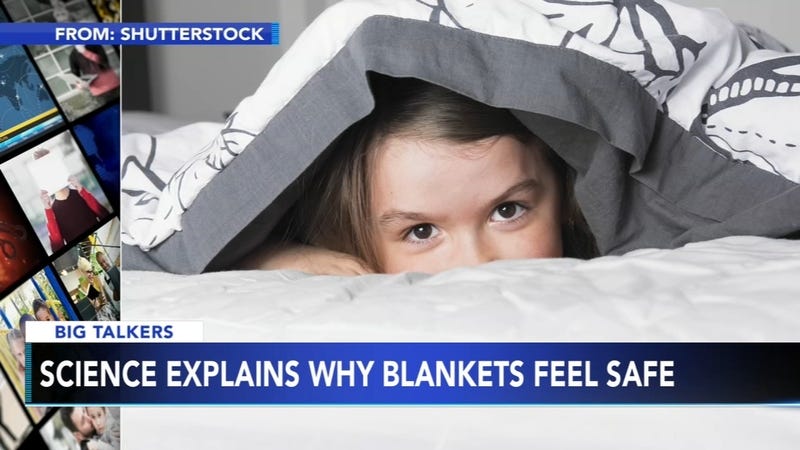 Scientists explain why hiding under a blanket makes us feel safe - 6abc  Philadelphia