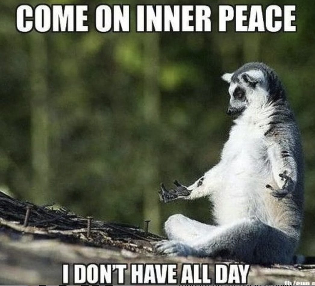 These Meditation Memes Will Help You Take A Nice Deep Breath - It All Came  Tumbling Down | Memes
