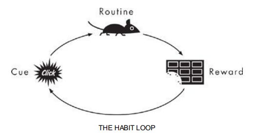 the habit loop form power of habit book by charles duhigg
