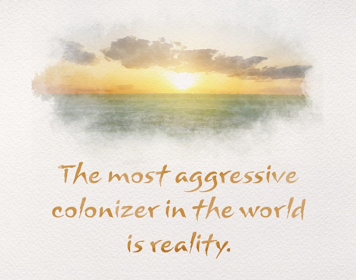 A sunset over the ocean with the caption "the most aggressive colonizer in the world is reality."