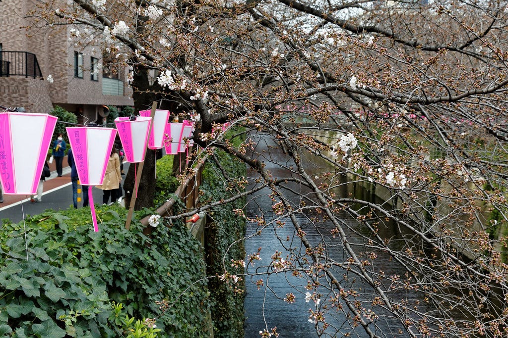 "Nakameguro river 3/23" by KimonBerlin is licensed under CC BY-SA 2.0