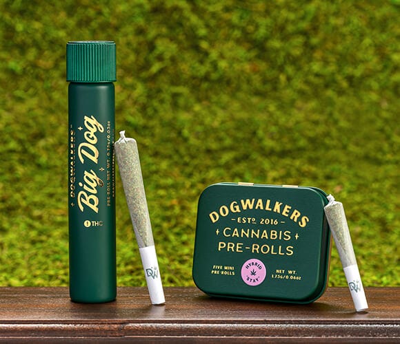 A picture of GTI's packaging for their Dogwalker joints, featuring a green tin box. 