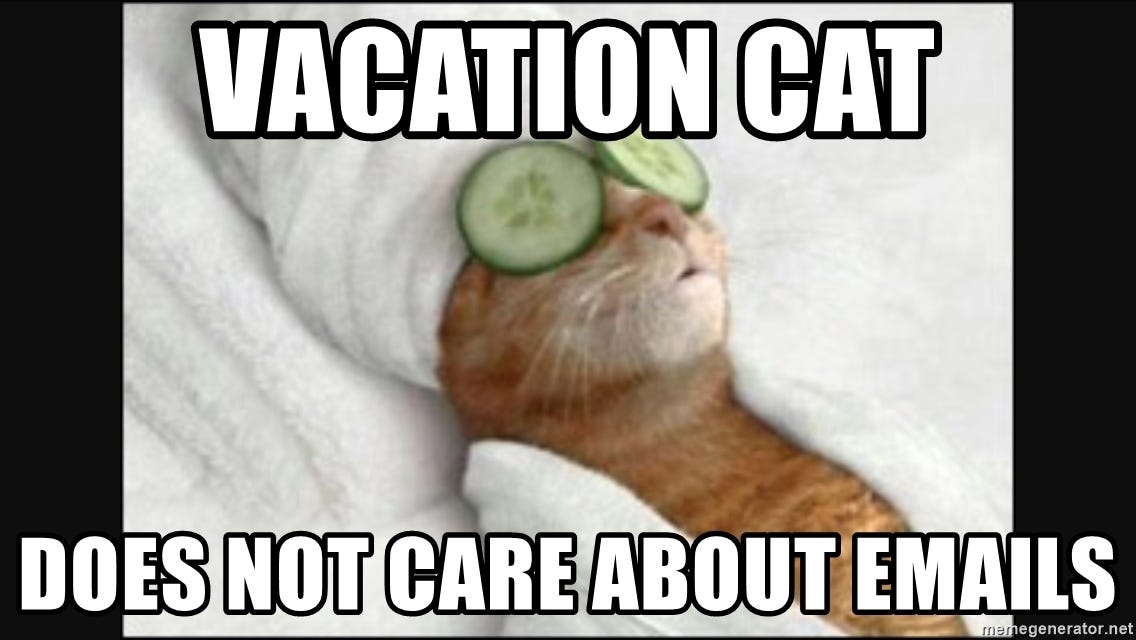 Vacation Cat Does not care about emails - Vacation Cat meme | Meme Generator