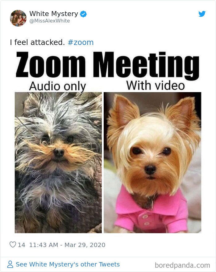 Funny-Zoom-Meetings