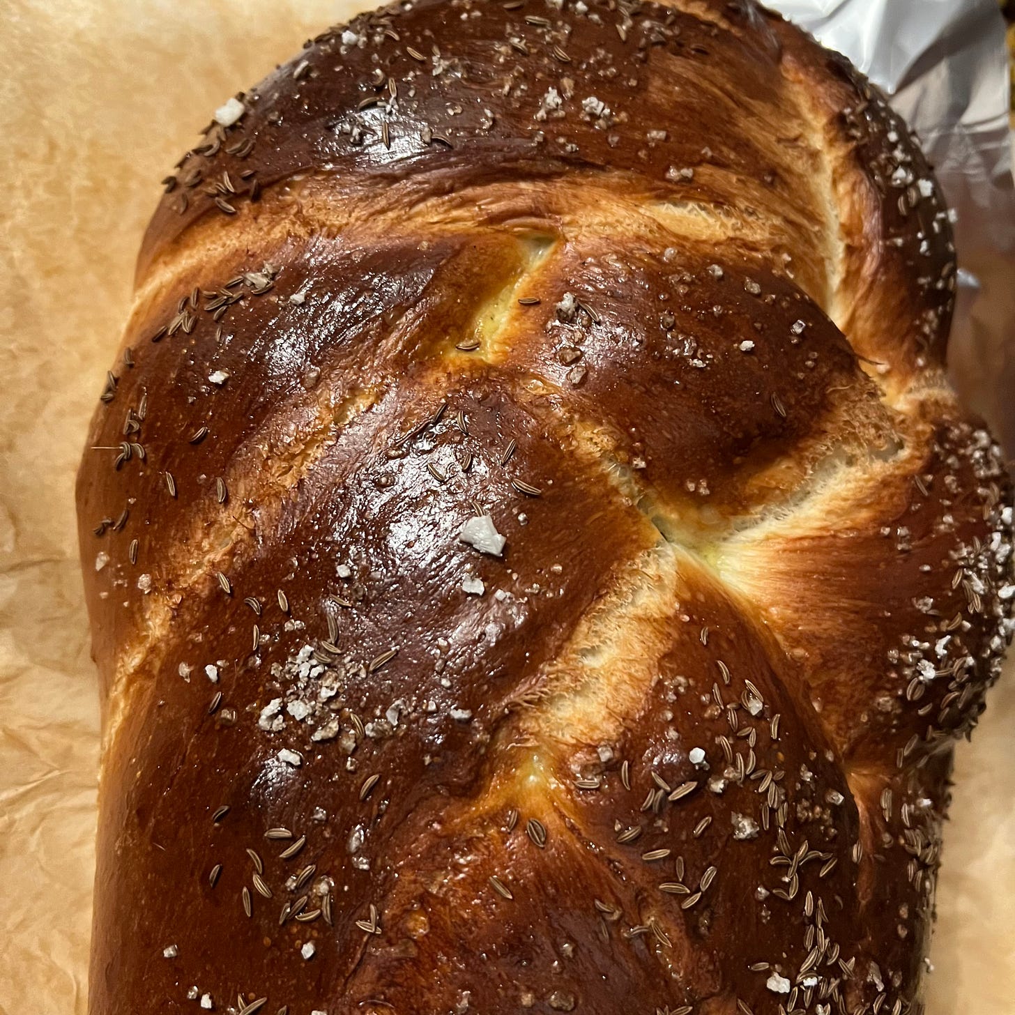Big glossy baked plaited challah loaf dusted with caraway seeds and salt