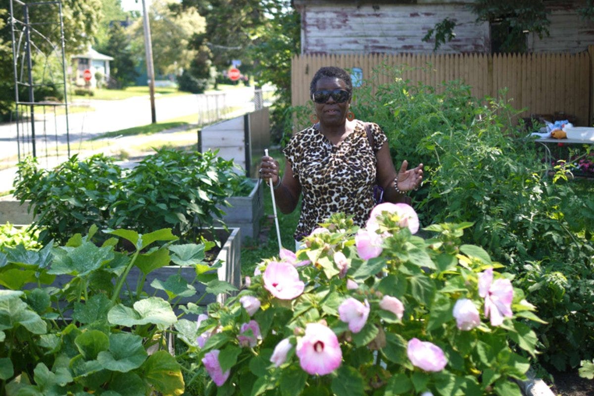 Gerldine Wilson, an older Black woman who is legally blind, wears a pair of black sunglasses, and holds a white cane in her right hand, as she stands between her community garden’s raised beds. The plants are in full-bloom, and contain peppers, squash, pink flowers, tomatoes, and more. (Photo credit: Grassroots Gardens WNY)