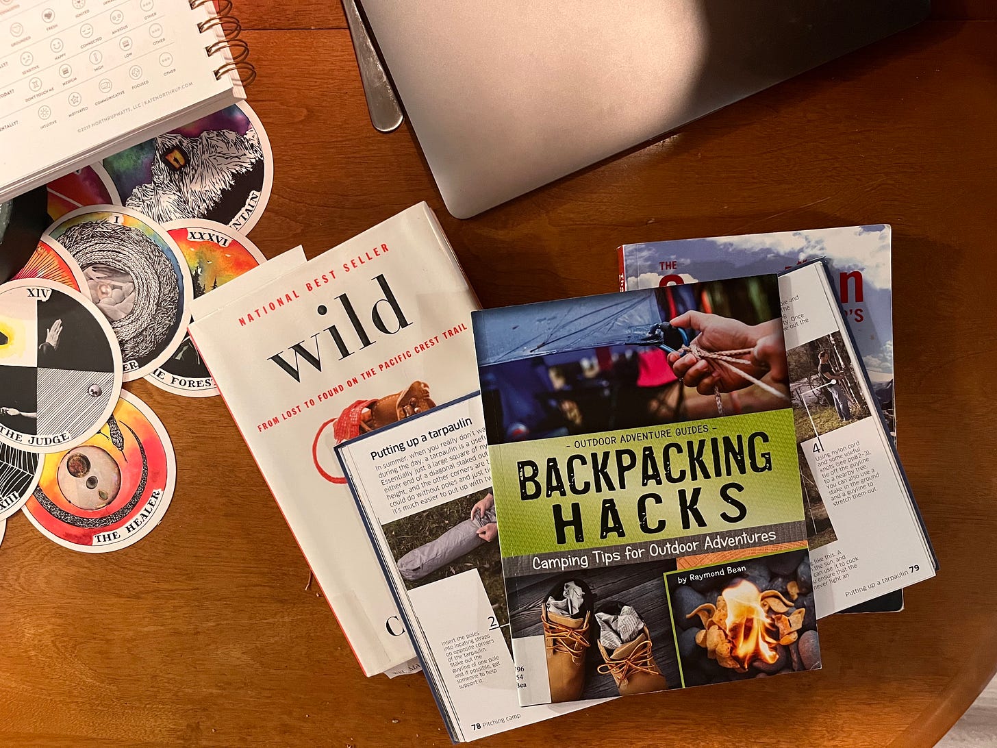 a stack of books about camping including a childens book called "backpacking backs"