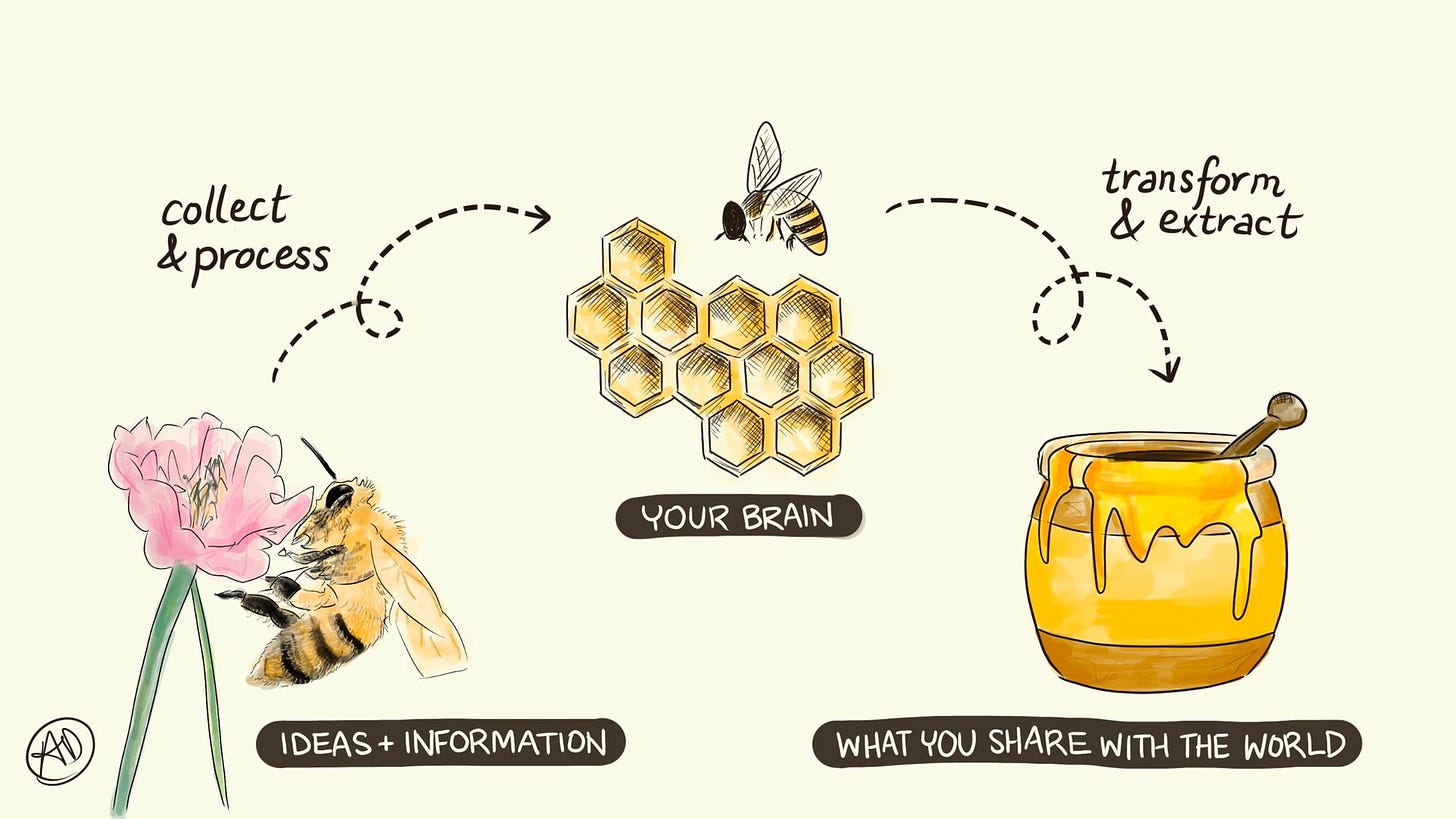 Bee in process of making honey: collecting nectar, working on a honeycomb, then a honey pot.