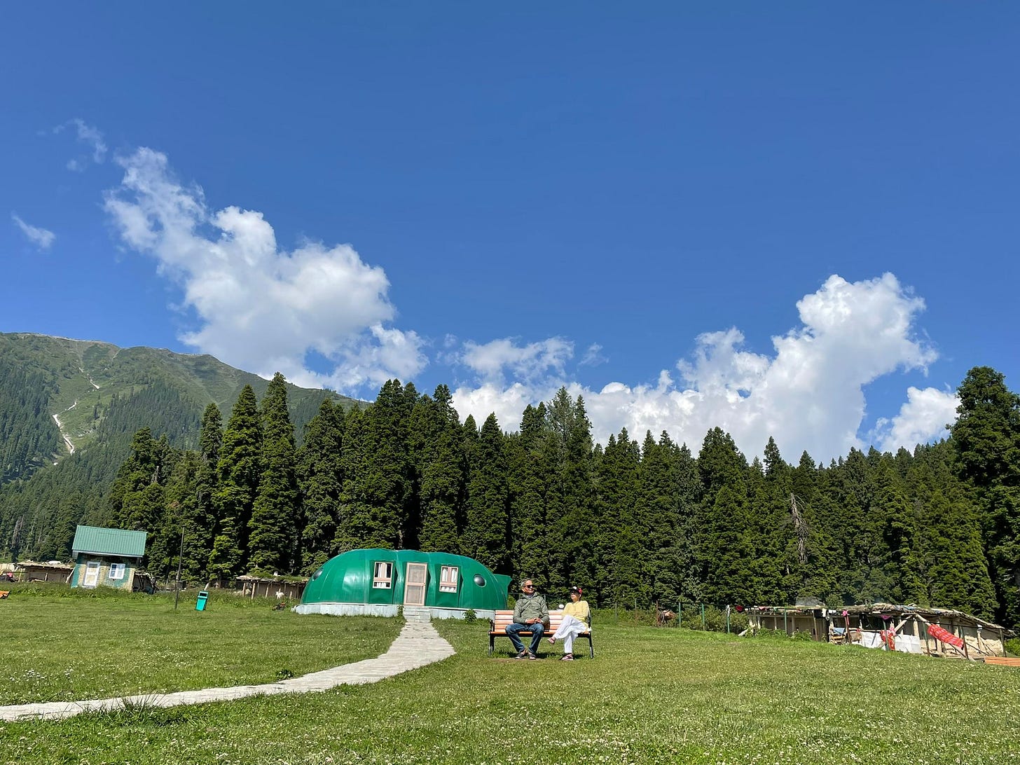 An image with a man and woman seated on a bench with a backdrop of blue sky, pine trees and mountain