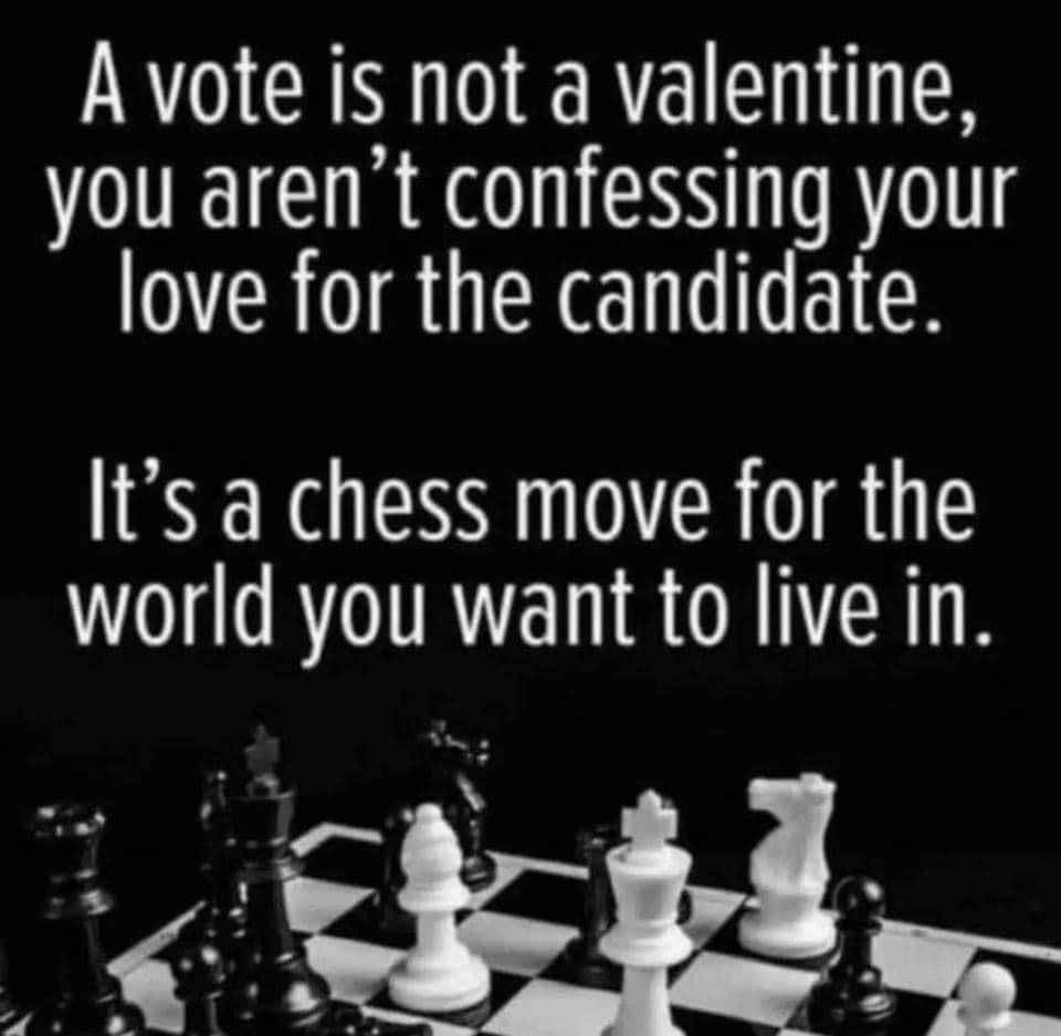 May be an image of chess, outdoors and text that says 'A vote is not a valentine, you aren't confessing your love for the candidate. It's a chess move for the world you want to live in.'