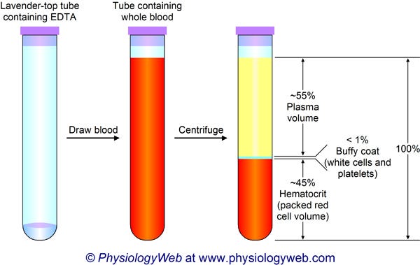 Physiology Illustration: Whole blood is composed of plasma and ...
