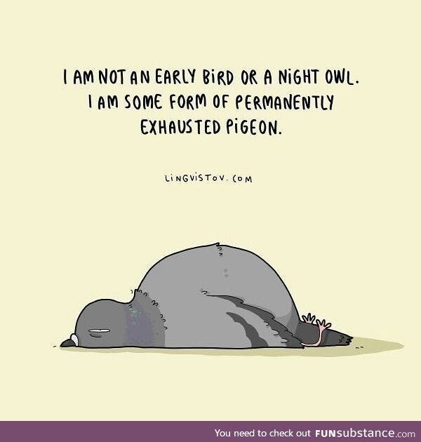 Permanently Exhausted Pigeon - FunSubstance | Life quotes, Funny quotes, Permanently  exhausted pigeon
