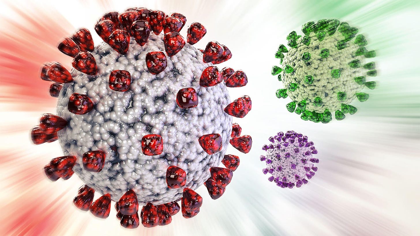 A computer rendering of differently colored covid viruses.