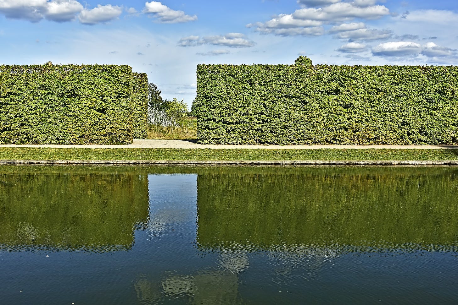 Tall hedges in front of a body of water
