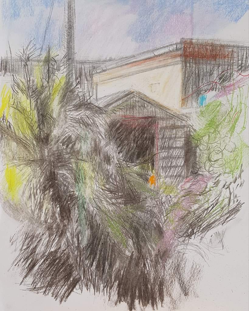 Charcoal drawing of garden shed and over-grown bamboo by Julia Laing (c)2021