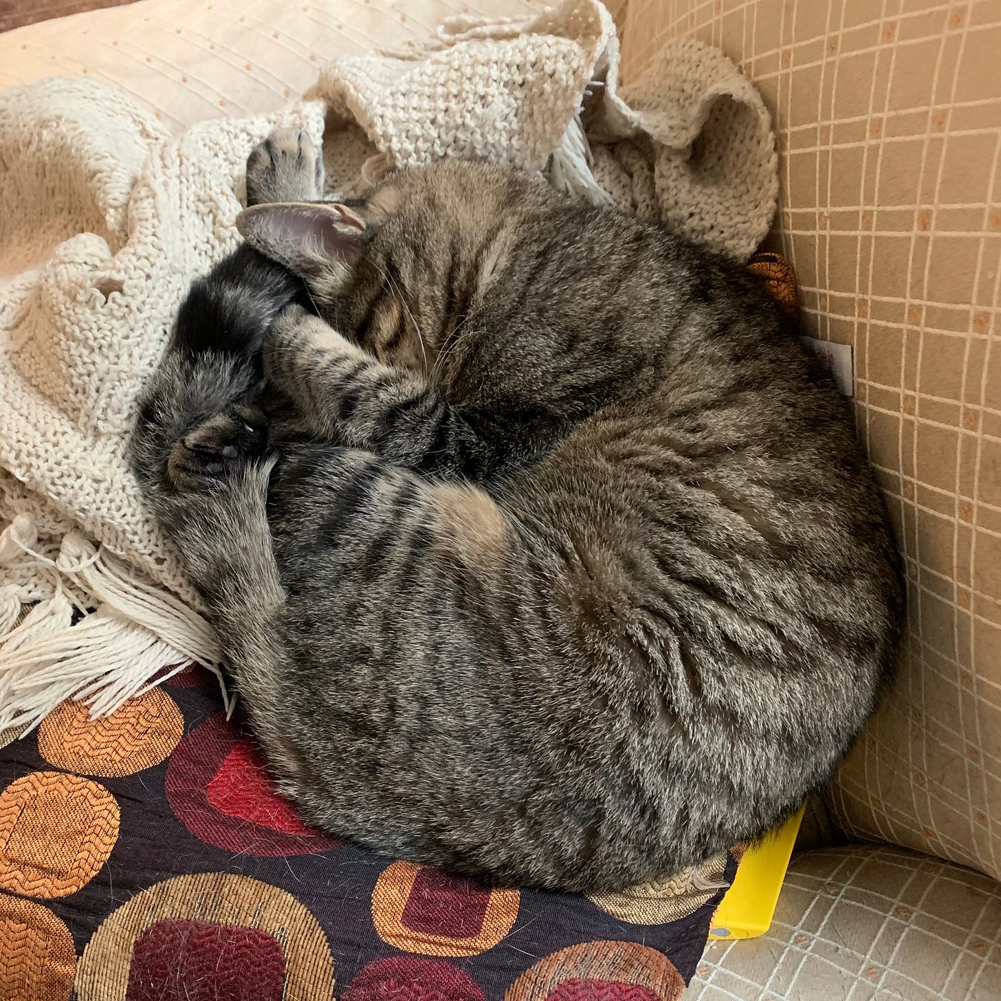 Sandy has made it this far, but she's exhausted.