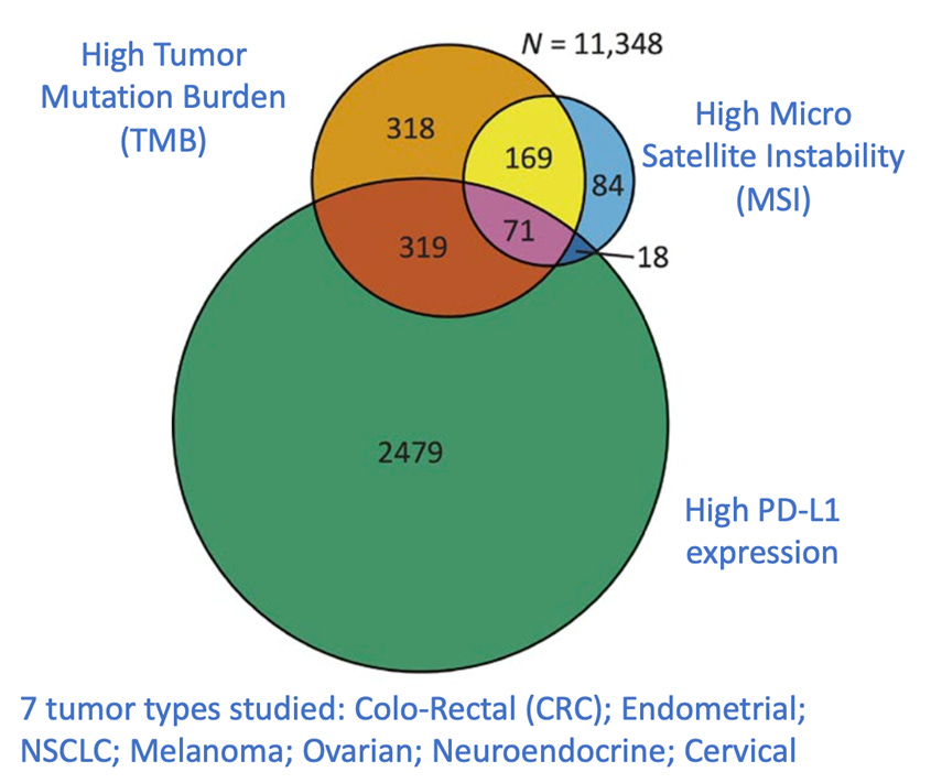 Venn diagram showing overlap of tumors expressing high tumor mutation burden, high microsatellite instability, and high PD-L1 expression