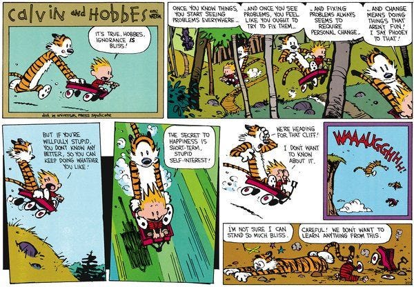 calvin and hobbes meaning of life | Calvin and Hobbes are at it again,  making great points in less than 1… | Calvin and hobbes, Calvin and hobbes  comics, Fun comics