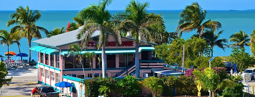 May be an image of body of water, palm trees, nature and sky