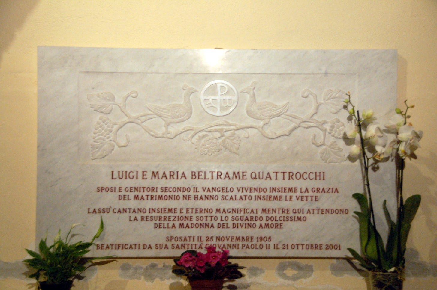 Płyta nagrobna bł. Marii i Luigiego Beltrame Quattrocchi.
