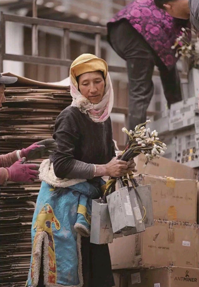 Tibetan woman holding flowers, only they're not flowers they're cryptocurrency mining PSUs.