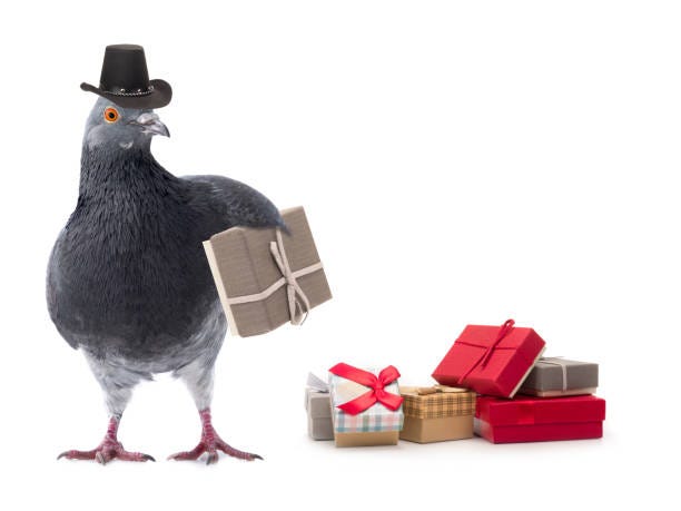 642 Messenger Pigeon Stock Photos, Pictures &amp;amp; Royalty-Free Images - iStock