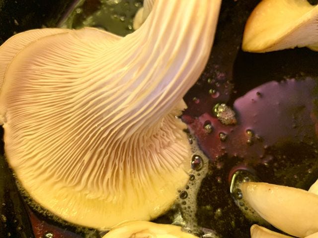 An oyster mushroom facedown in a hot oily pan