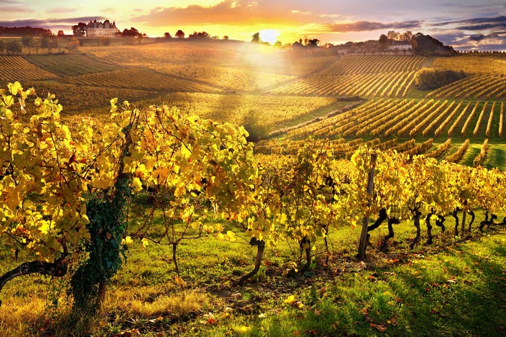 Wines of Southwest France -