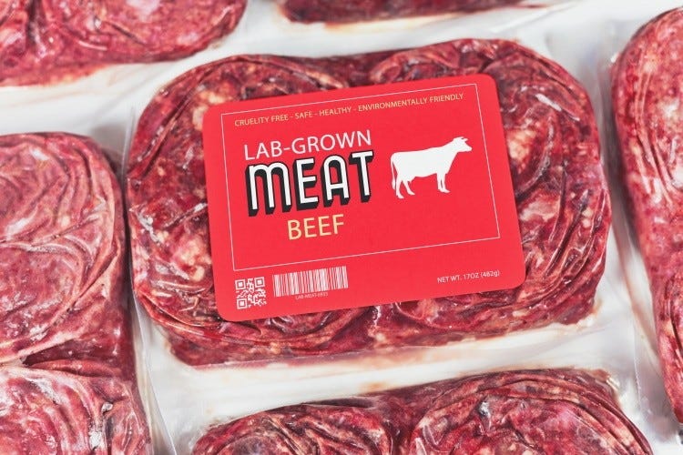 Is 'fake meat' a food system fix? IPES-Food warns on the false dawn of the  protein transition