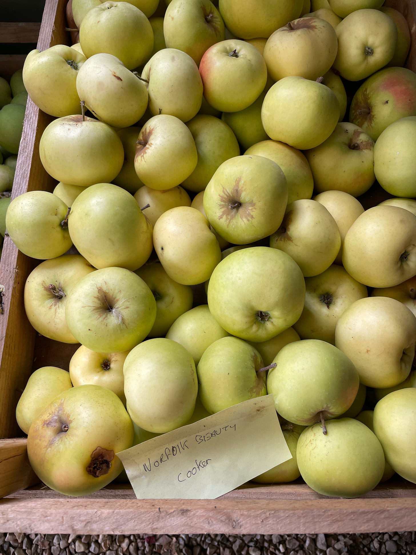 A wooden box full of apples. A handwritten note saying "norfolk beauty cooker"