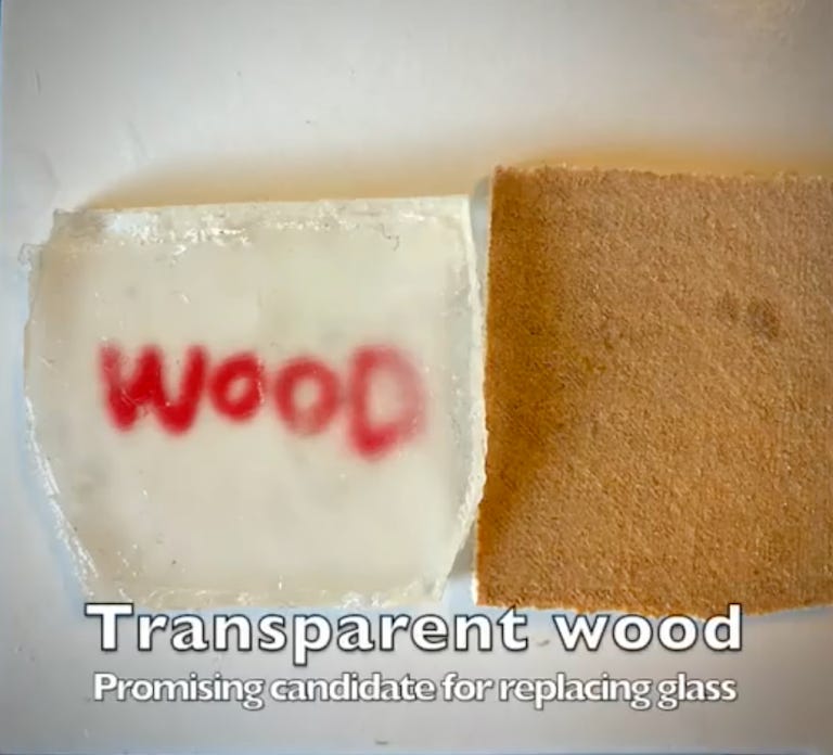 Transparent wood is an attractive future possible substitute for glass